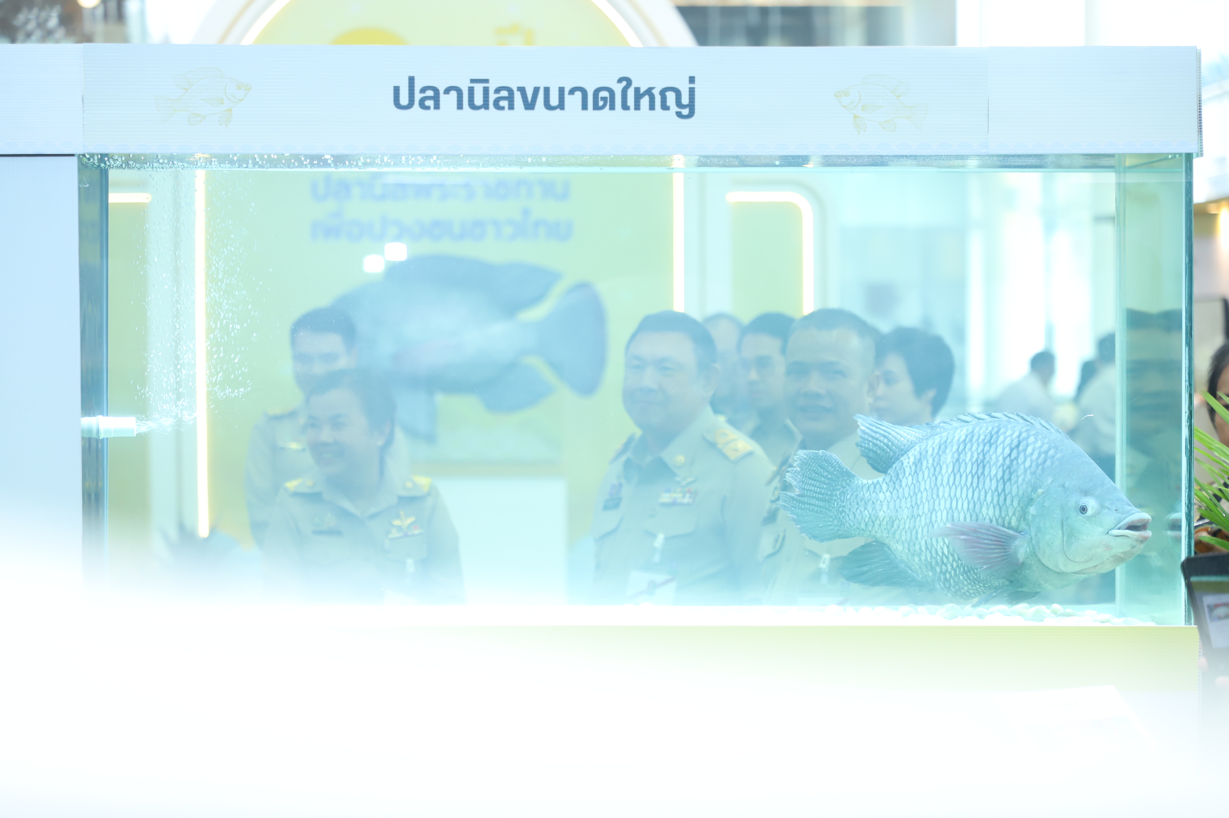 title - เลขาฯ ส.ป.ก. เฝ้ารับเสด็จ สมเด็จพระกนิษฐาธิราชเจ้า กรมสมเด็จพระเทพรัตนราชสุดาฯ สยามบรมราชกุมารี ทรงเป็นองค์ประธานเปิดงาน 60 ปี ปลานิลพระราชทาน เพื่อปวงชนชาวไทย